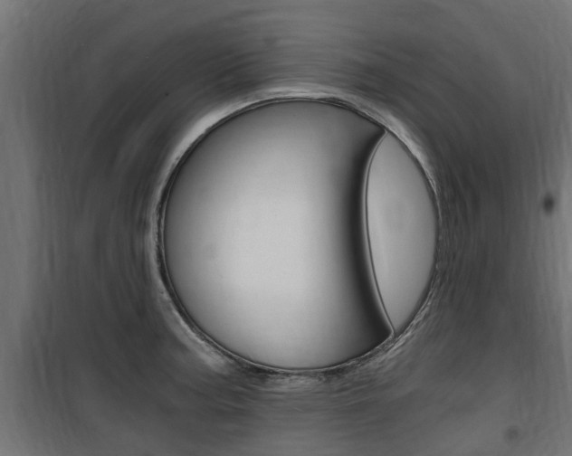 X0000100761187200806190902