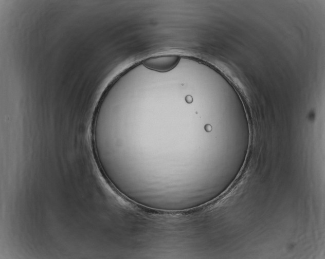 X0000100761189200806190902