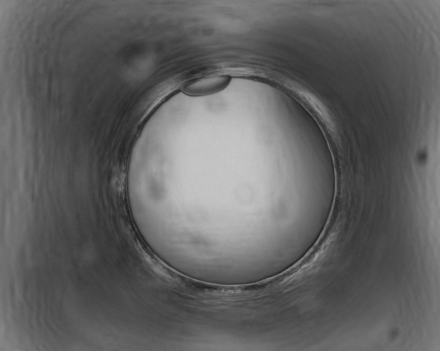 X0000100761193200806190902