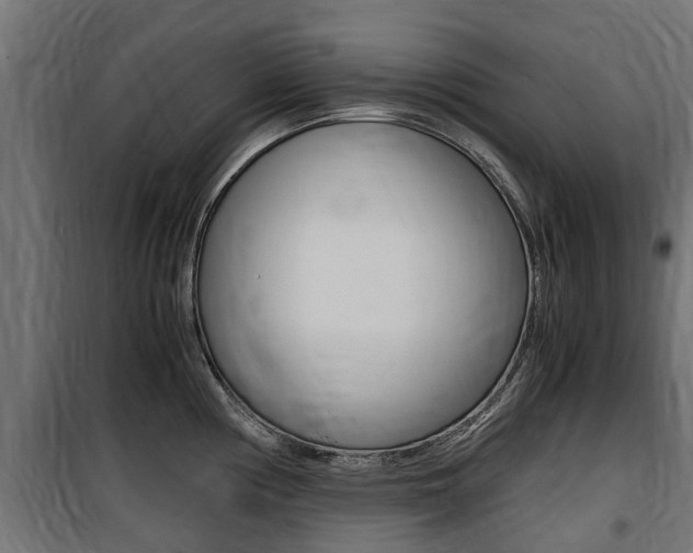 X0000100761194200806190902