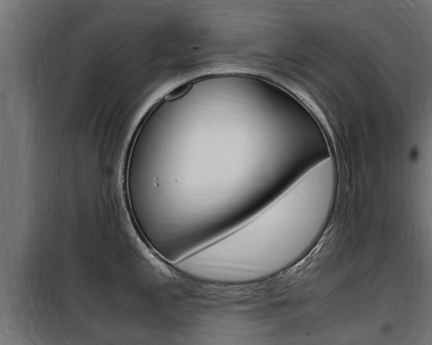 X0000100761197200806190902