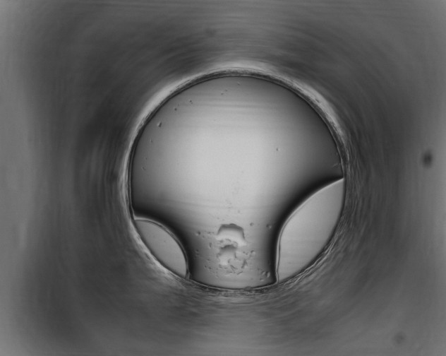 X0000100761199200806190902