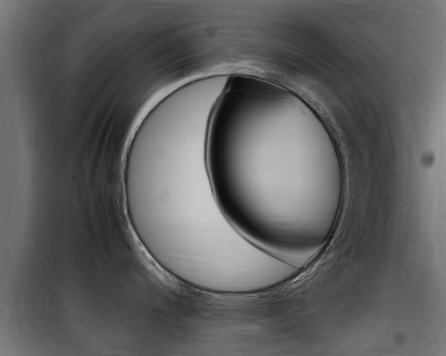 X0000100761200200806190902