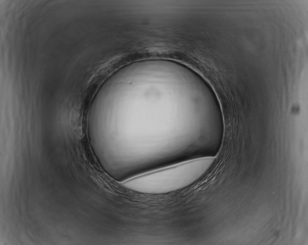 X0000100761205200806190901