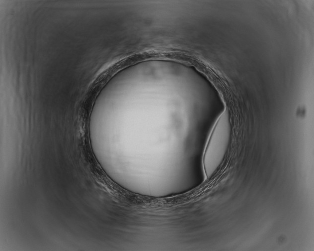 X0000100761206200806190901