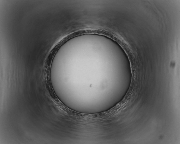 X0000100761208200806190901