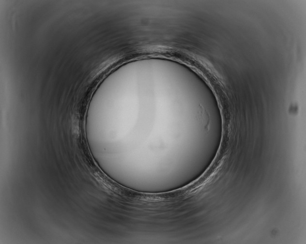 X0000100761209200806190901