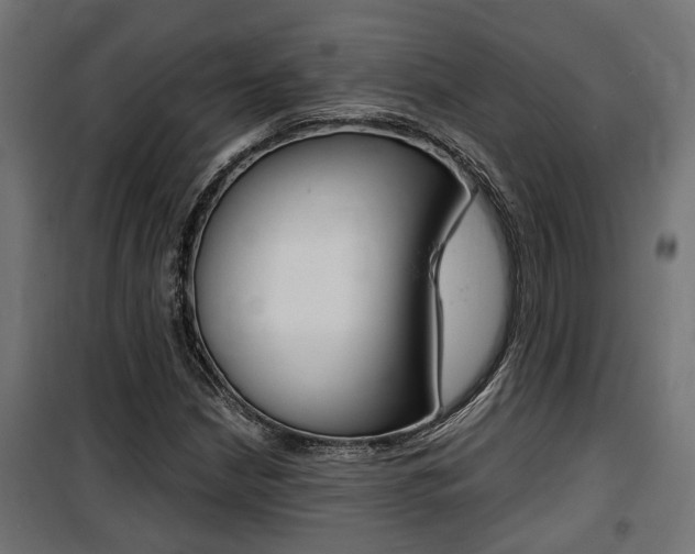 X0000100761210200806190901
