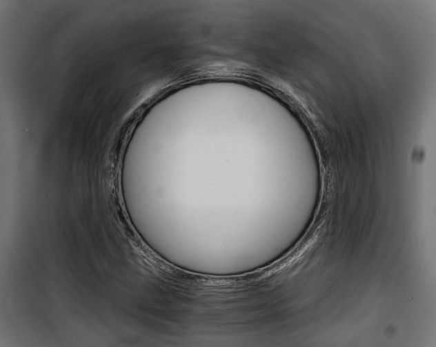 X0000100761211200806190901