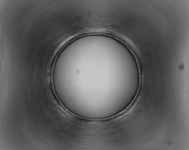 X0000100761212200806190901