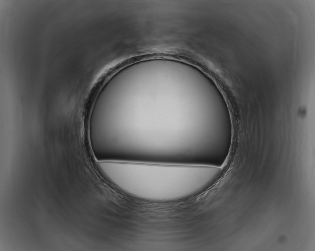 X0000100761214200806190901