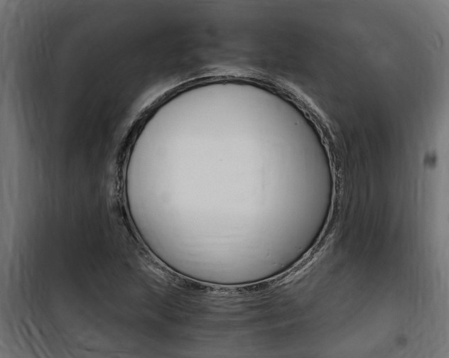 X0000100761215200806190901