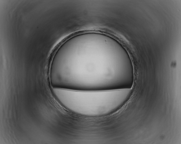 X0000100761216200806190901