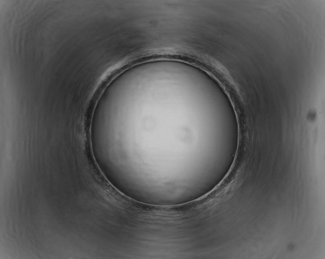 X0000100761218200806190901