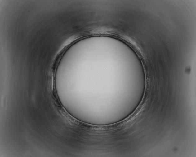 X0000100761219200806190901