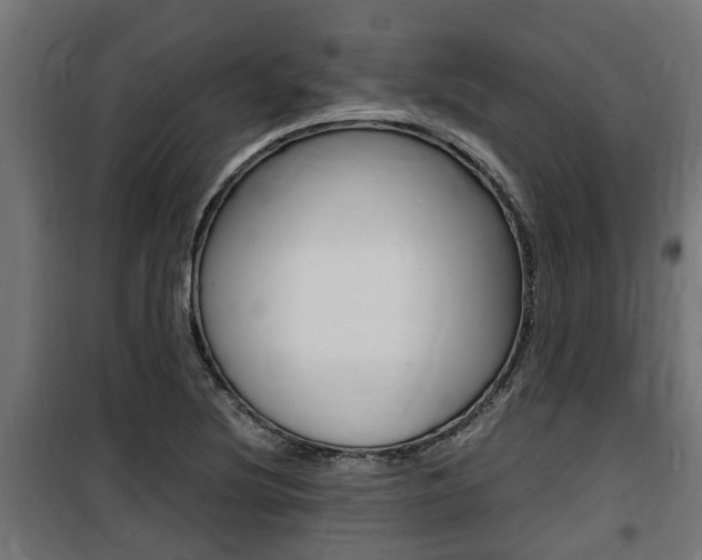 X0000100761220200806190901