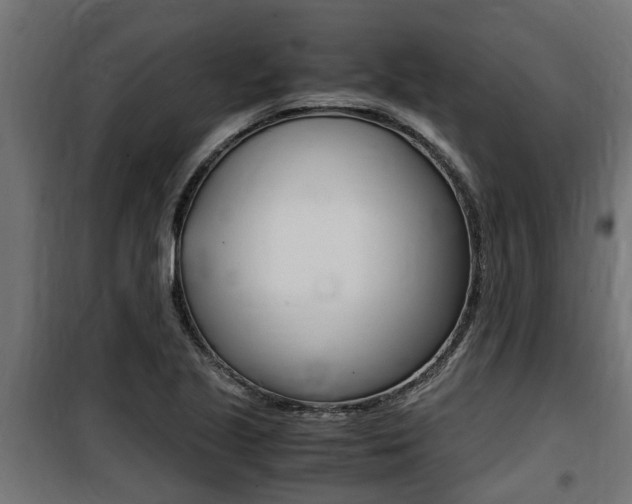 X0000100761221200806190901