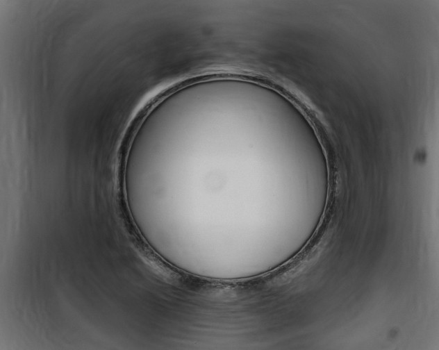 X0000100761222200806190901