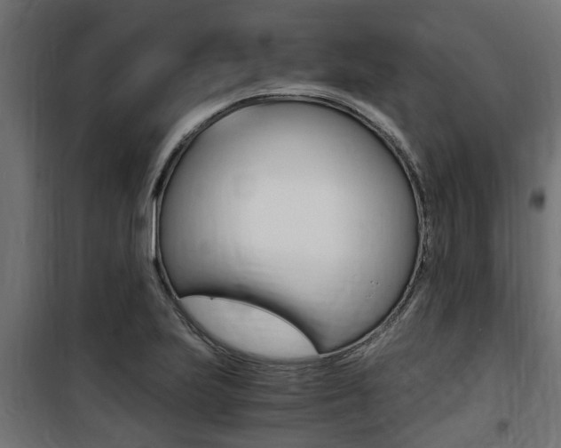 X0000100761223200806190901