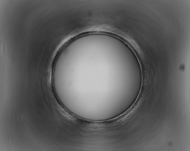 X0000100761224200806190901