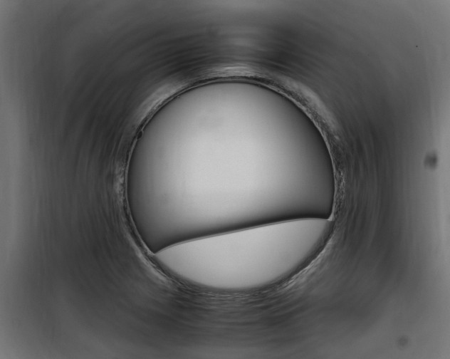 X0000100761225200806190901
