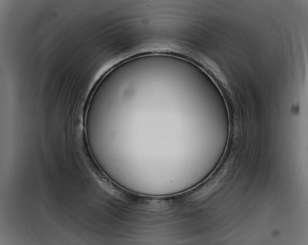 X0000100761226200806190901