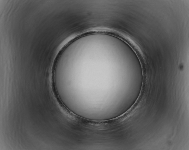 X0000100761229200806190901