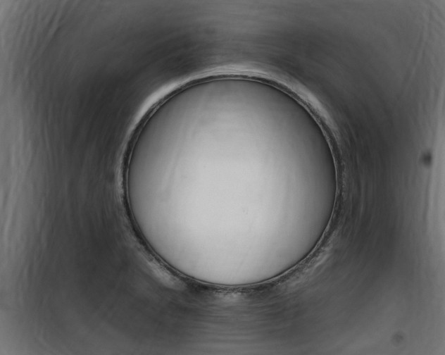X0000100761230200806190902