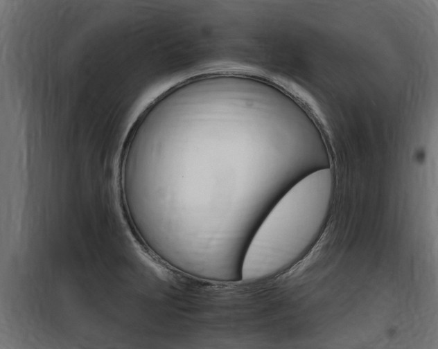 X0000100761231200806190902
