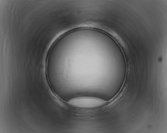 X0000100761232200806190902