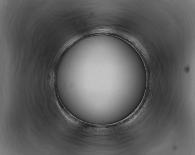 X0000100761233200806190902