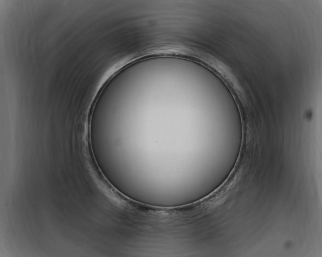 X0000100761234200806190902