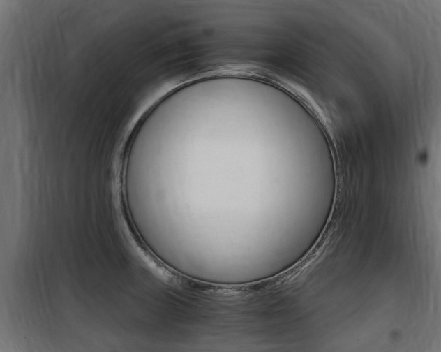 X0000100761235200806190902