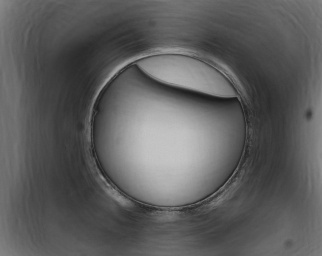 X0000100761236200806190902