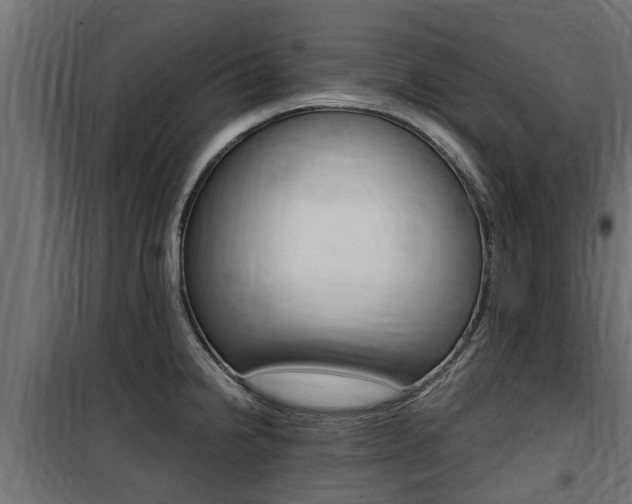 X0000100761238200806190902