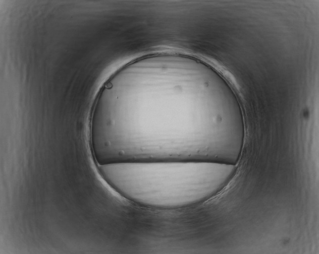 X0000100761239200806190902