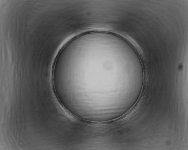 X0000100761240200806190902
