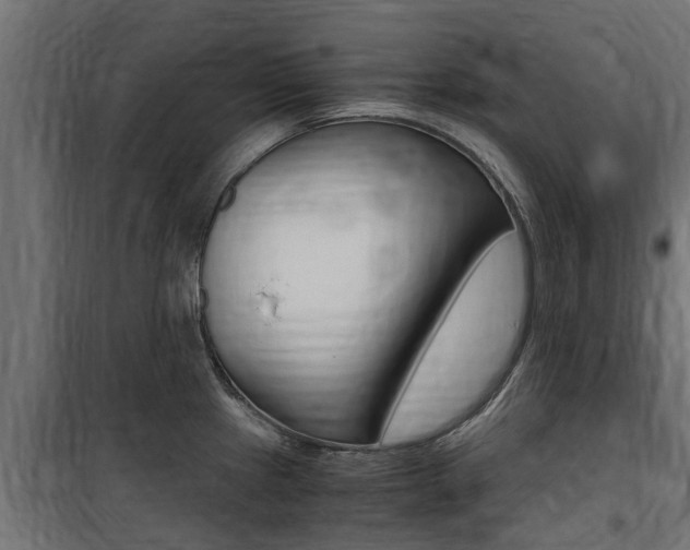 X0000100761241200806190902