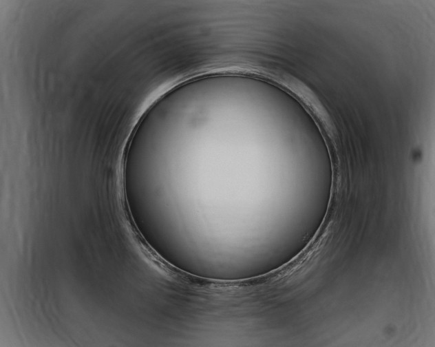 X0000100761242200806190902