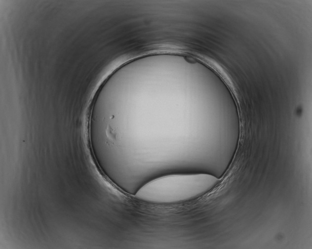 X0000100761243200806190902