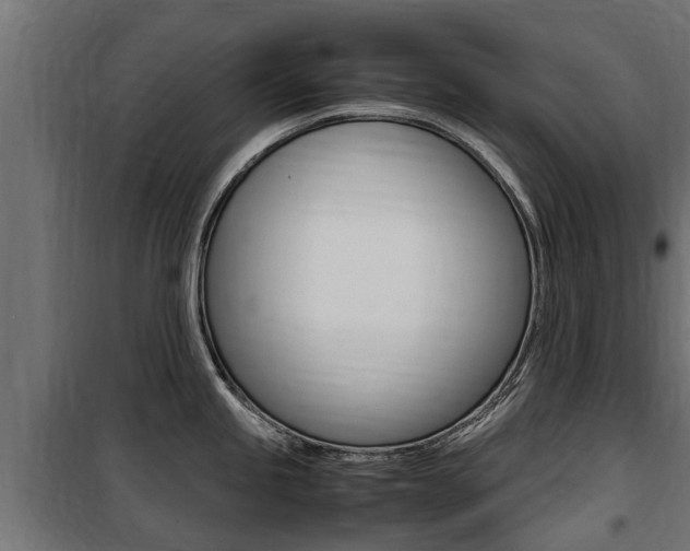 X0000100761245200806190902