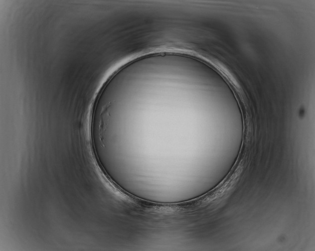 X0000100761246200806190902