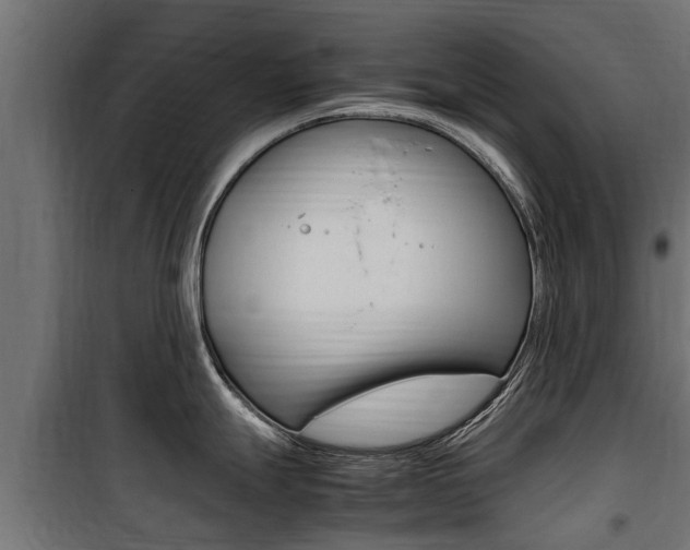 X0000100761247200806190902