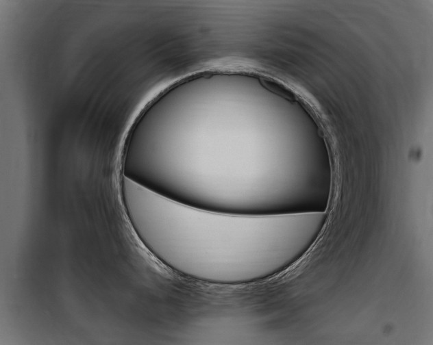 X0000100761248200806190902