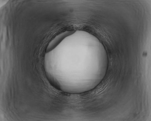 X0000100761249200806190901