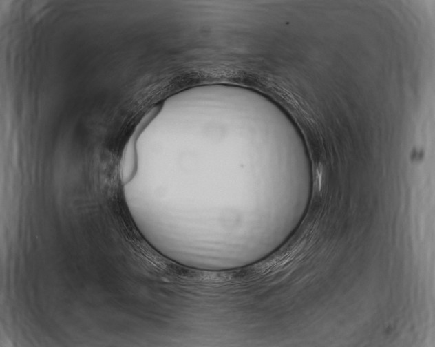 X0000100761251200806190901
