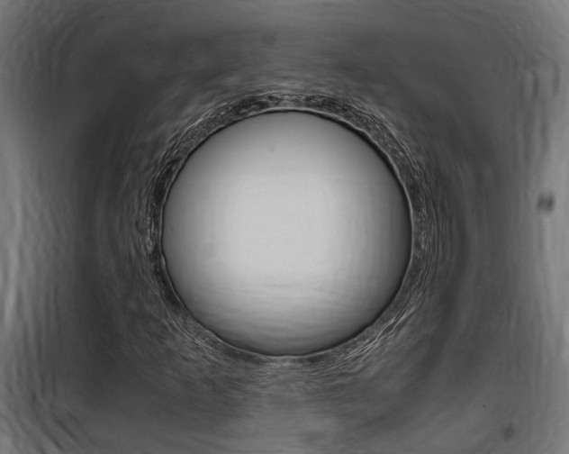 X0000100761253200806190901