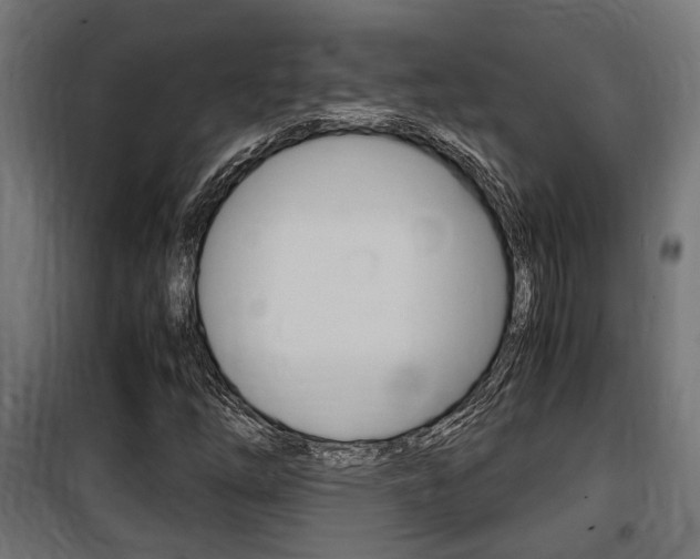 X0000100761254200806190901
