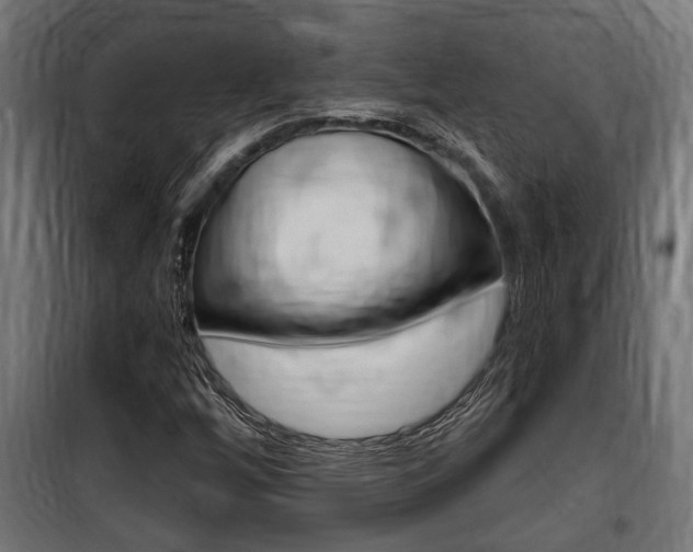 X0000100761256200806190901