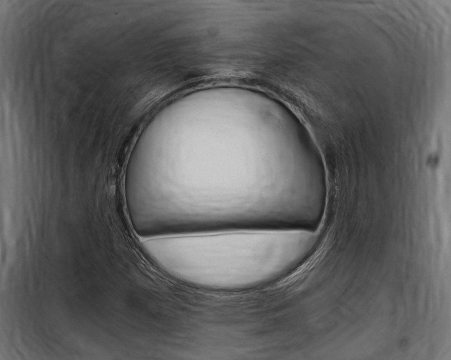 X0000100761257200806190901